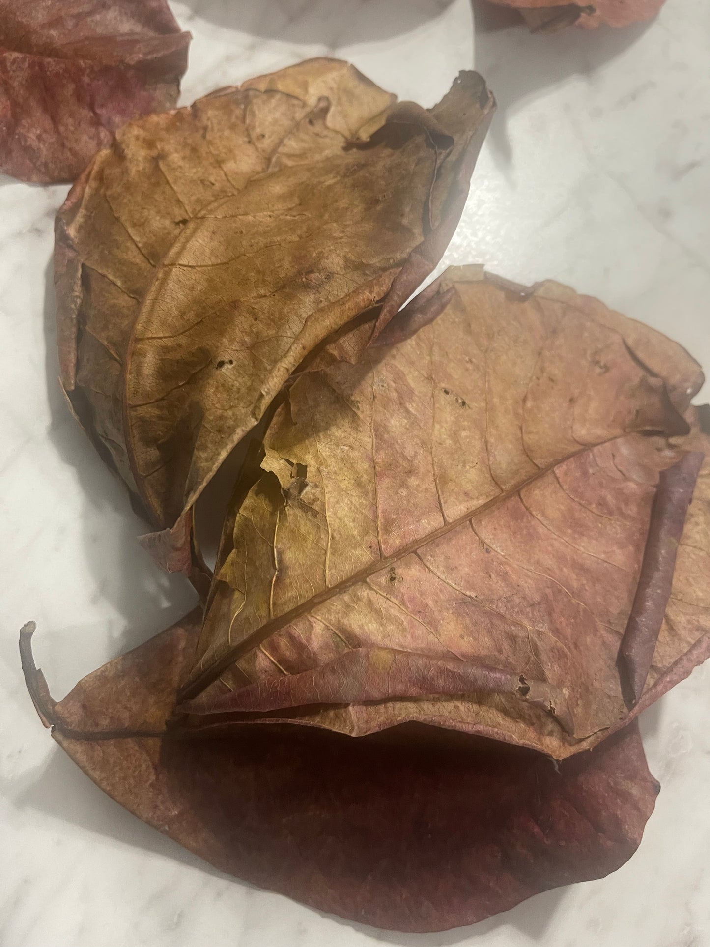 Almond leaf /Fèy Zanmann